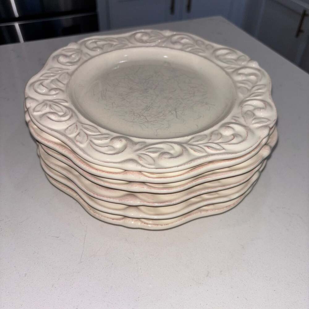 JCPenney Isabella Ivory 9” Salad Plates Set of 6